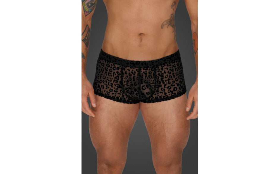 Leopard Flock Short Shorts