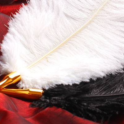 Luxury Ostrich Feather Tickler with The Pointy End