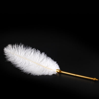 Luxury Ostrich Feather Tickler with The Pointy End