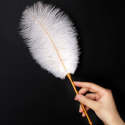 Luxury Ostrich Feather Tickler with The Pointy End