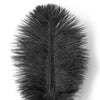 Luxury Ostrich Feather Tickler with The Pointy End