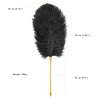 Luxury Ostrich Feather Tickler with The Pointy End