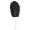 Luxury Ostrich Feather Tickler with The Pointy End