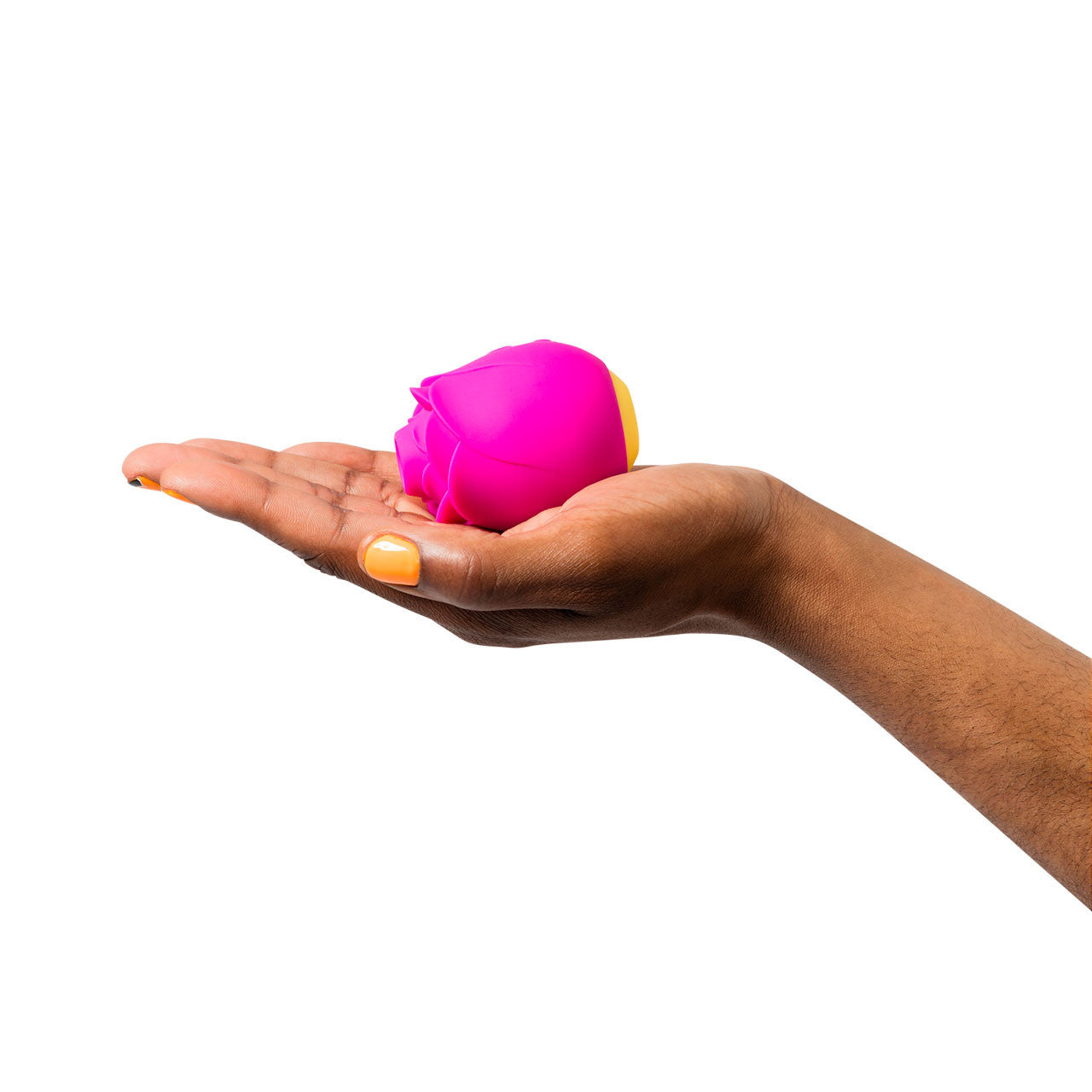 Romp Rose Limited Edition