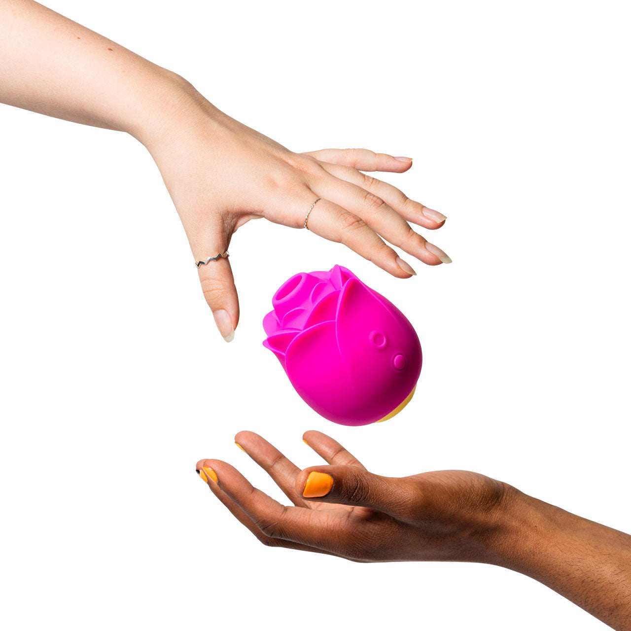 Romp Rose Limited Edition