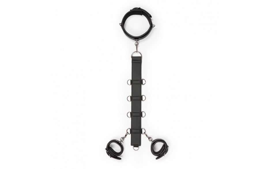 Neck and Wrist Restraint