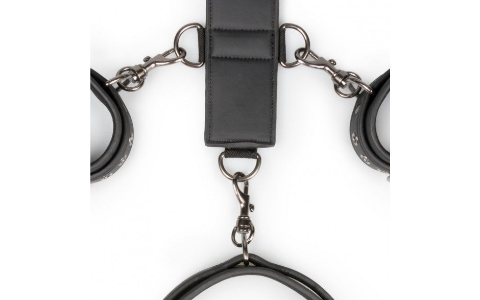 Neck and Wrist Restraint