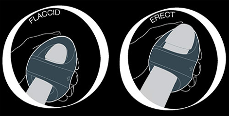 Hot Octopuss Pocket Pulse